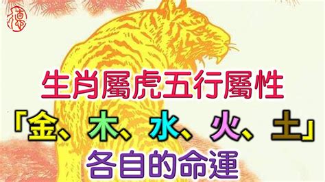 生肖屬虎|屬虎出生年份+2024今年幾多歲？屬虎性格特徵+最新。